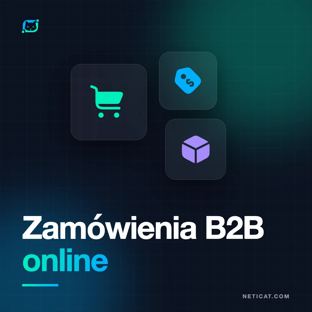 Ilustracja: Platforma B2B dla hurtowni