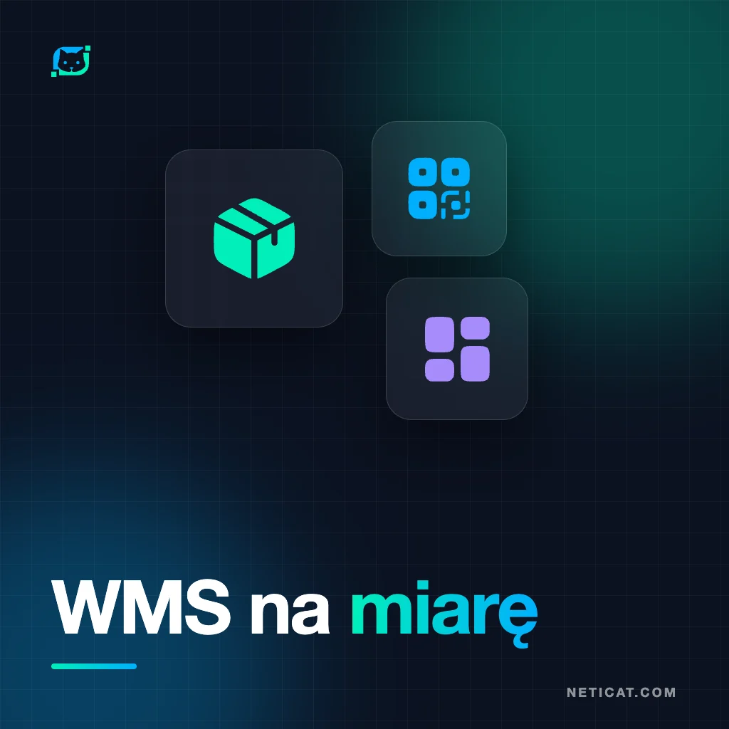 Ilustracja: System WMS na zamówienie